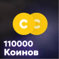 110000 Коинов